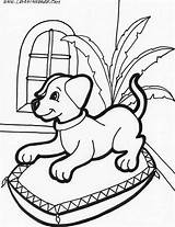 Puppy Coloring Pages  Free Cute Sheets To Print The Barn sketch template