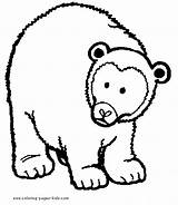 Bears Colouring Sheet  Real big bear sketch template