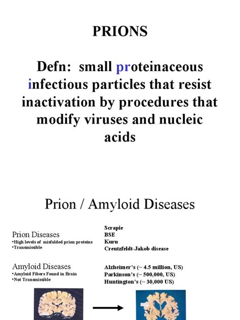 Understanding Prion Diseases: Transmission, Pathology, and Prevention ...