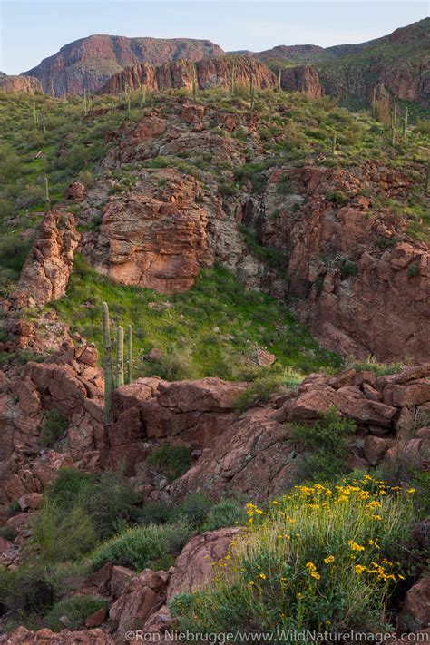 Superstition Mountains along the Apache Trail | Tonto National Forest, Arizona. | Photos by Ron ...