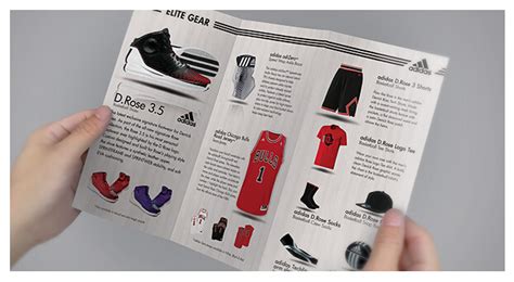 10 Best Sports Brochure Templates to Share