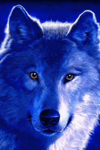 Волк Wolf Wallpaper, Android Wallpaper, Web Pics, Animated Gifs, Most Beautiful Wallpaper ...