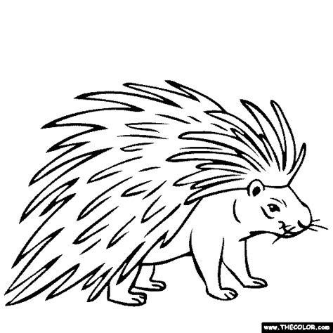 Porcupine Coloring Page Owl Coloring Pages, Online Coloring Pages, Free Printable Coloring Pages ...