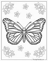 Butterfly And Flower Coloring Pages sketch template