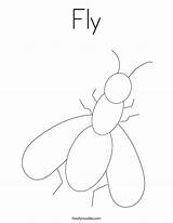 Fly Coloring Page  Twisty Noodle sketch template