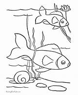 Pond Coloring Page  Home sketch template