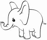 Adorable Baby Elephant Coloring Page  Free Printable Pages sketch template