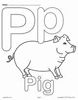Letter P Alphabet Coloring Pages  3 FREE Printable Versions – SupplyMe sketch template