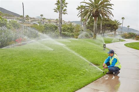 Overcoming Irrigation Damage in Commercial Landscaping | BrightView