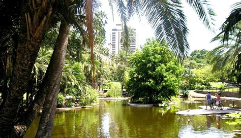 Brisbane Botanic Gardens