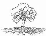 Tree With Roots Coloring Page sketch template