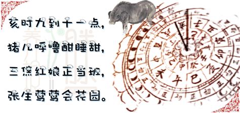 现在是亥时-三焦经当令了-养根滕