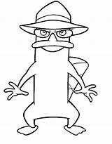 Perry Coloring Page  Free Printable Pages sketch template