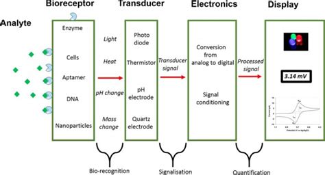 Electronic Biosensors – Seed NanoTech International Inc.