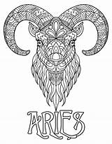 Aries Coloring Page / Digital Download Printable Astrological Sign  sketch template