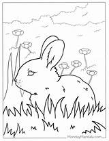 Free Bunny Rabbits Coloring Pages sketch template