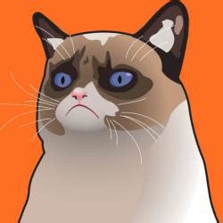 Cartoon Grumpy Cat Meme Generator Template