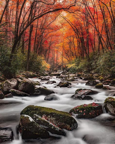 Fall at Great Smoky Mountains National Park : r/MostBeautiful