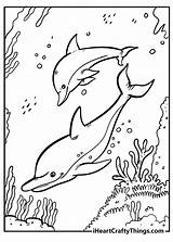 Cute Dolphin Coloring Pages sketch template