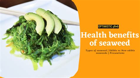 Unlock the Health Benefits of Seaweed: Nutritious Recipes You Can Try ...