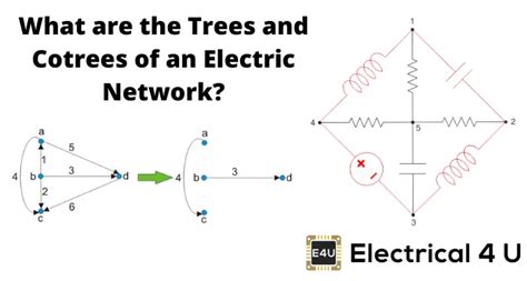 Trees and Cotrees of an Electric Network (Graph Theory) | Electrical4U