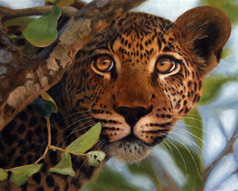 Leopard Painting / Print - Wildlife Art Painting by Jason Morgan