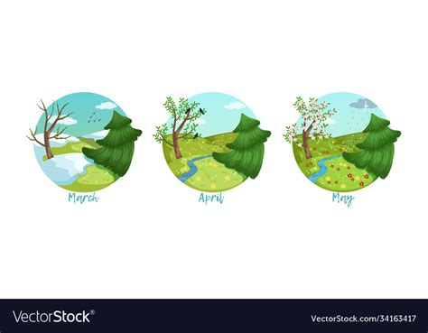 Three months year set spring season nature Vector Image