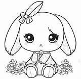 Bunny Rabbit Coloring Pages sketch template