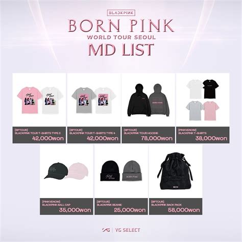 Here's All Of The Merch Available For BLACKPINK's "BORN PINK" World ...