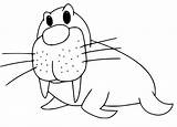 Mother With Baby Walrus Coloring Page  Free Printable Pages sketch template