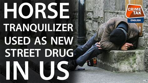 Horse tranquilizer emerges as new and deadly street drug in US ...