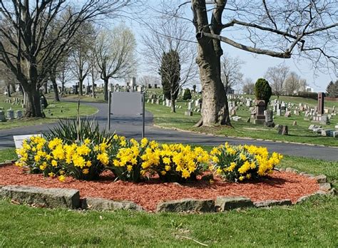 Spring has sprung at Grandview! Photo by Marcia Ranchik April 6, 2021 | Grandview Cemetery ...