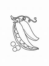 Peas coloring pages sketch template