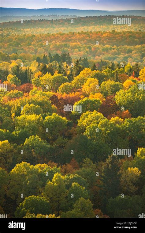 Aerial view of a fall season forest scenic view Stock Photo - Alamy