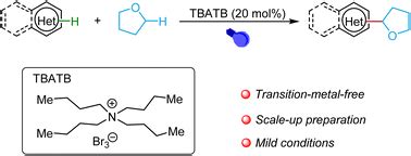 A visible-light-induced bromine radical initiates direct C–H alkylation ...