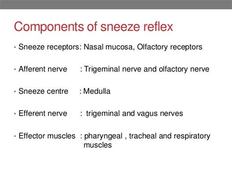 Mechanism of cough and sneeze reflex