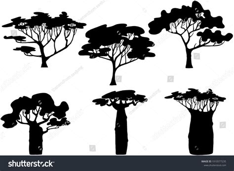 African Tree Isolated Silhouettes Set Stock Illustration 1910577235 ...