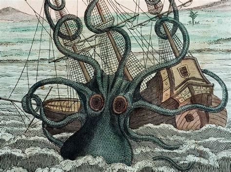 The Kraken: when myth encounters science - Medievalists.net