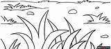 Grass Coloring Page  Easy Drawing Guides sketch template
