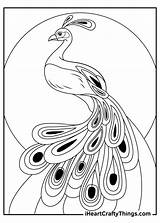 15 Peacock Coloring Pages 100% Free Printables sketch template