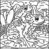 Leap Day Coloring Page  Year Sheet Frog 2024 sketch template