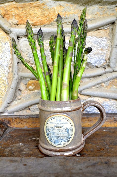 Just Picked Asparagus | Organic vegetables, Edible flowers, Flower farm