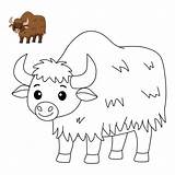 6028 Coloring Yak Royalty Free Photos And Stock Images  Shutterstock sketch template