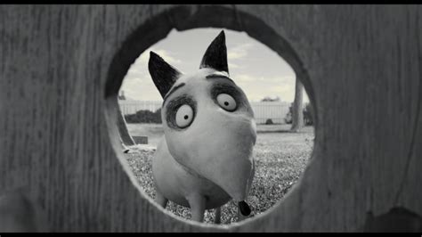 Tim Burton's Frankenweenie | Adam Wright