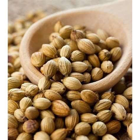 [Biji Ketumbar] Coriander Seed 100g | Shopee Malaysia