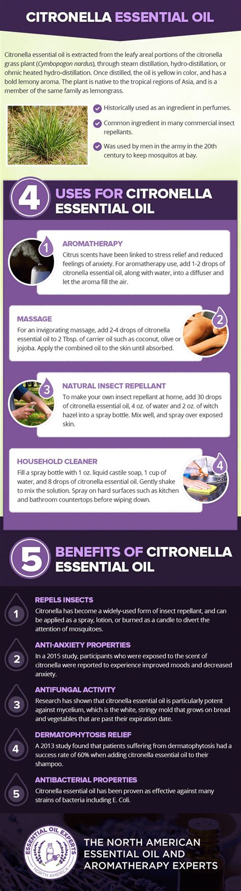 Citronella Essential Oil | Uses, Benefits, & Where to Buy