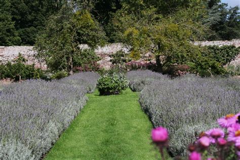 A Chef in the Garden: West Sussex Gardens