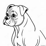 Playful Boxer Dog Coloring Page 9691 7849 sketch template