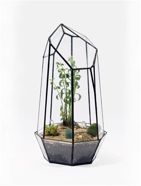 Foodista | Geodesic Terrarium Makes For An Attractive Herb Garden