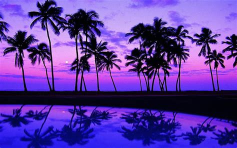 Hawaii Purple Beach Sunset HD wallpaper | Pxfuel